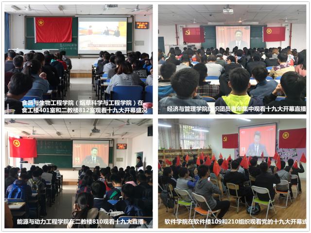 点击查看原图
